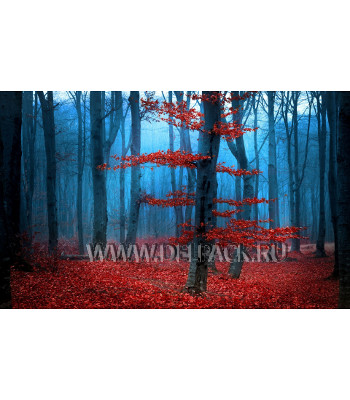 Альбом для рисования А4 deVENTE (20 листов) Осенний лес 2130533
